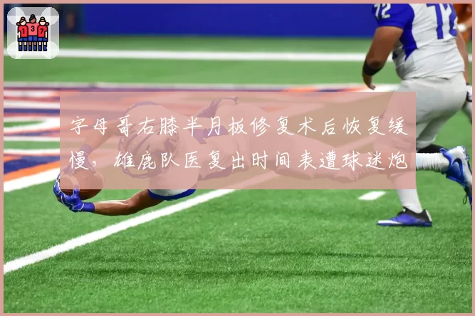 字母哥右膝半月板修复术后恢复缓慢，雄鹿队医复出时间表遭球迷炮轰
