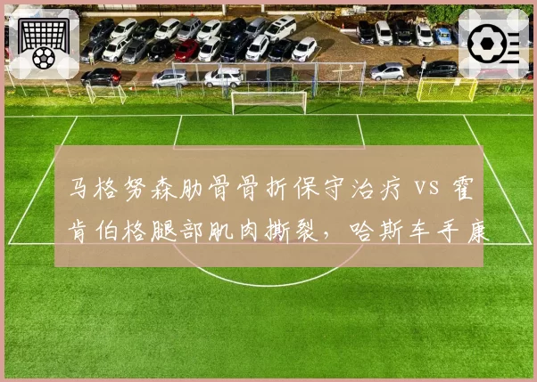 马格努森肋骨骨折保守治疗 vs 霍肯伯格腿部肌肉撕裂，哈斯车手康复策略对比