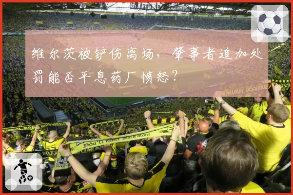 维尔茨被铲伤离场，肇事者追加处罚能否平息药厂愤怒？